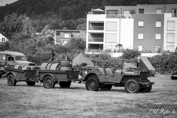 Int. Meeting CVM Steesel