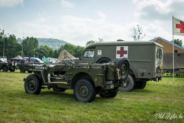 Int. Meeting CVM Steesel