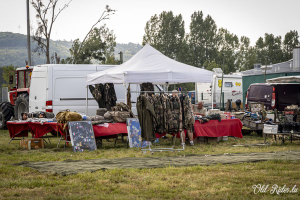 Int. Meeting CVM Steesel