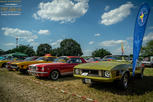 32. US Car Festival by Arl.lu