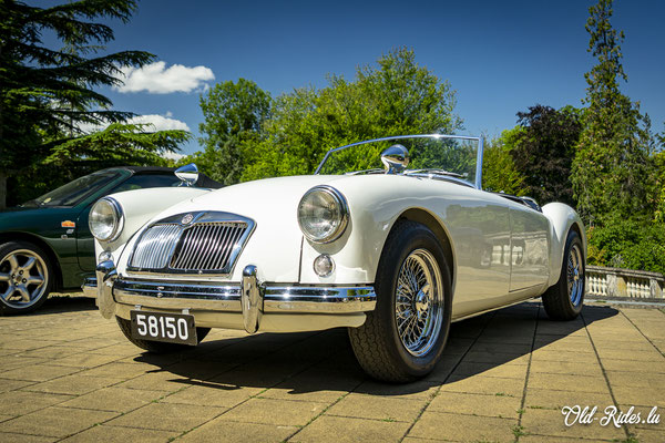 British Car Day 
