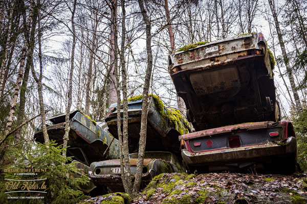 Auto Kierfecht Bilkykogarden