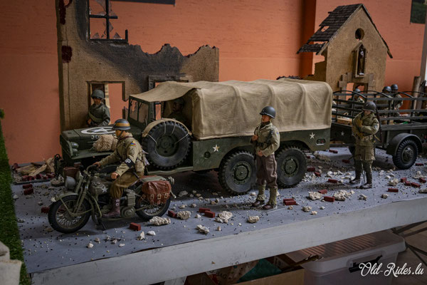 Int. Meeting CVM Steesel