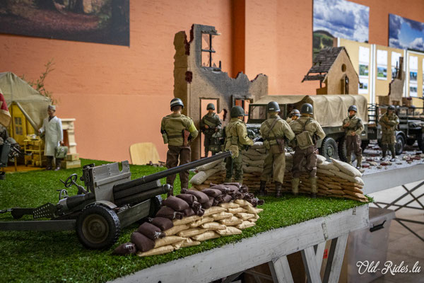 Int. Meeting CVM Steesel