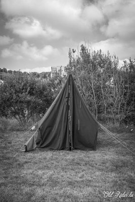 Int. Meeting CVM Steesel