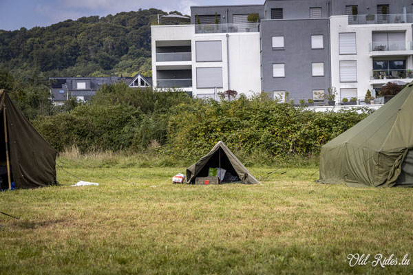 Int. Meeting CVM Steesel