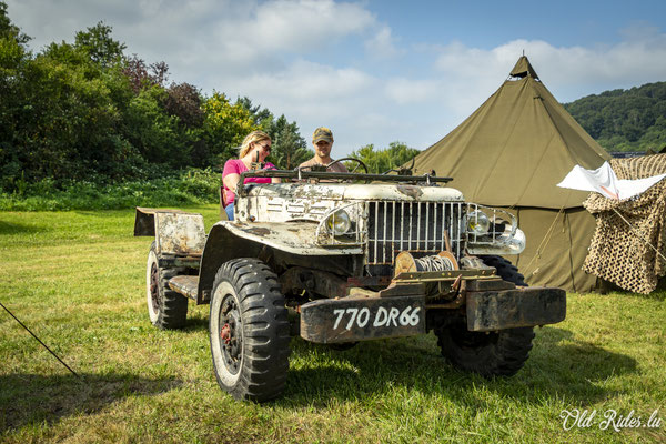 Int. Meeting CVM Steesel