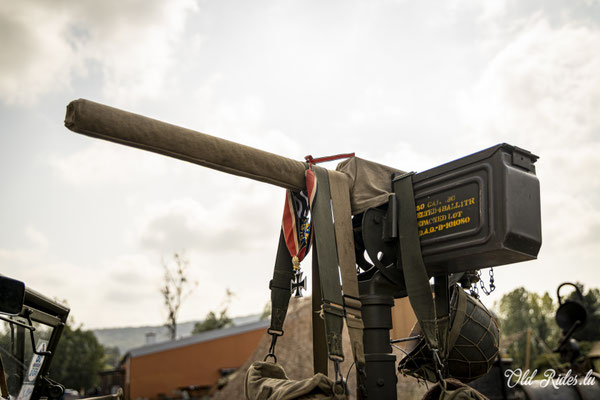 Int. Meeting CVM Steesel