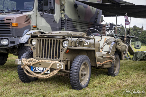 Int. Meeting CVM Steesel