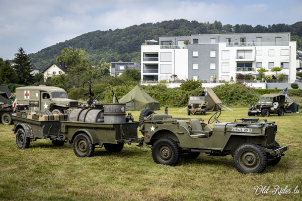 Int. Meeting CVM Steesel