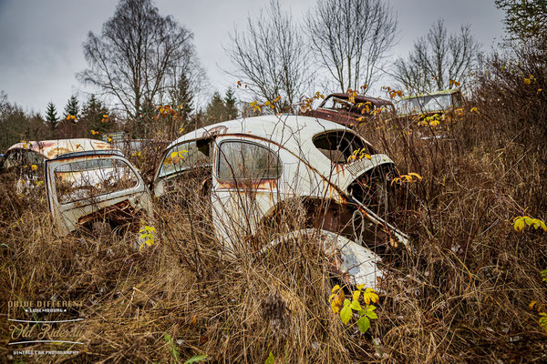 Auto Kierfecht Bilkykogarden