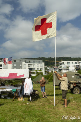 Int. Meeting CVM Steesel