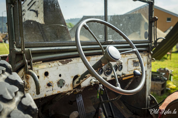 Int. Meeting CVM Steesel