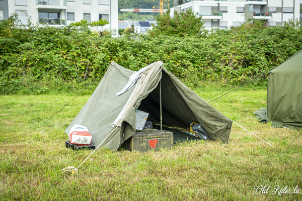 Int. Meeting CVM Steesel