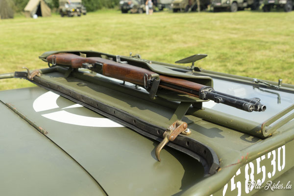 Int. Meeting CVM Steesel