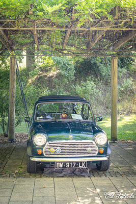 British Car Day