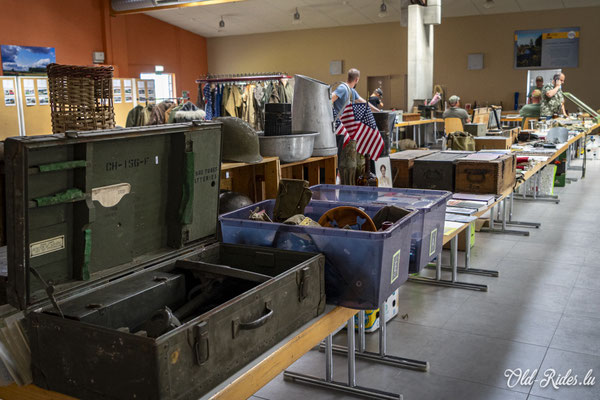 Int. Meeting CVM Steesel