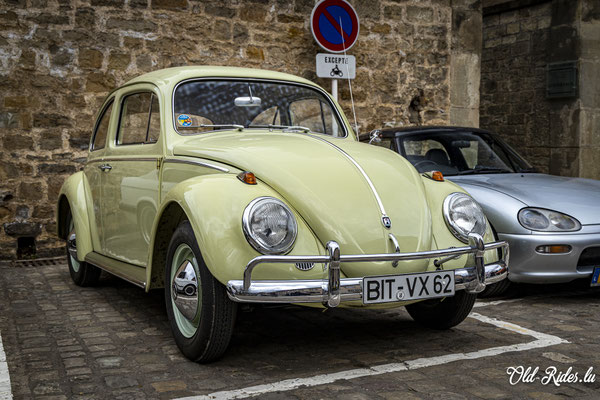 Car-Sonndig