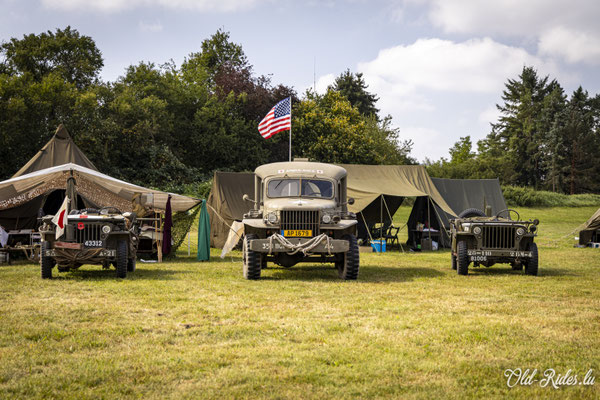 Int. Meeting CVM Steesel