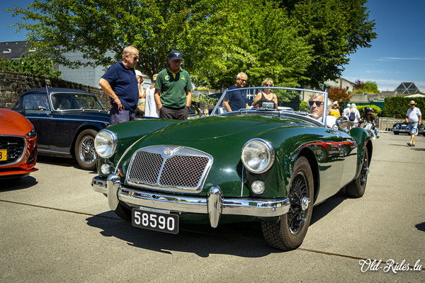 British Car Day