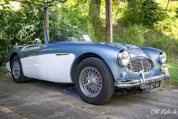 British Car Day