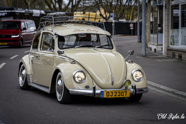 Car-Sonndig
