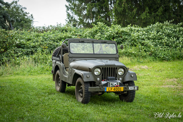 Int. Meeting CVM Steesel