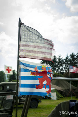 Int. Meeting CVM Steesel