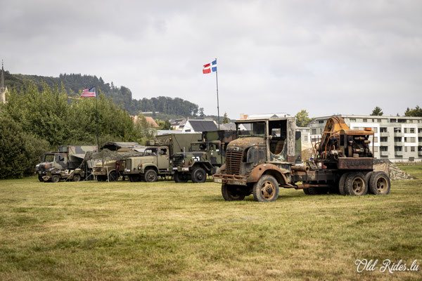 Int. Meeting CVM Steesel