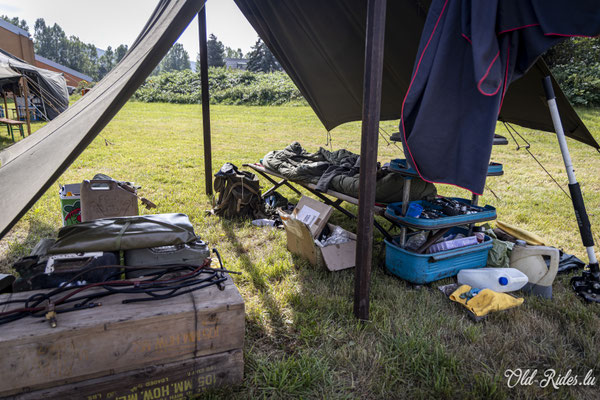 Int. Meeting CVM Steesel