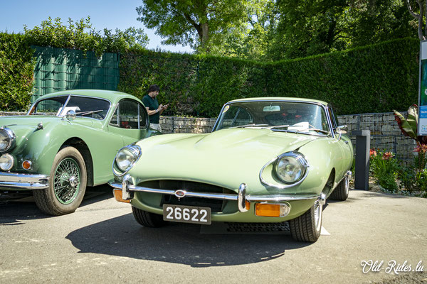 British Car Day
