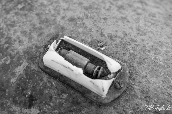 Int. Meeting CVM Steesel