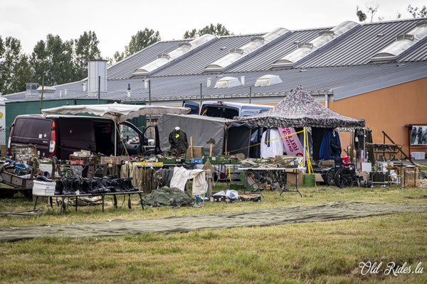 Int. Meeting CVM Steesel