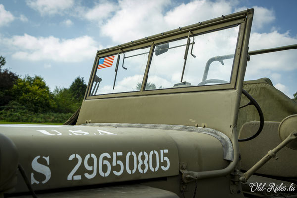 Int. Meeting CVM Steesel