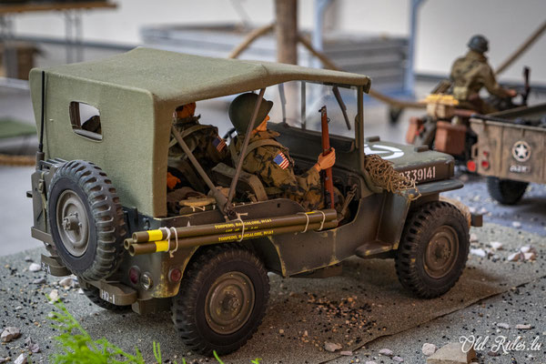 Int. Meeting CVM Steesel