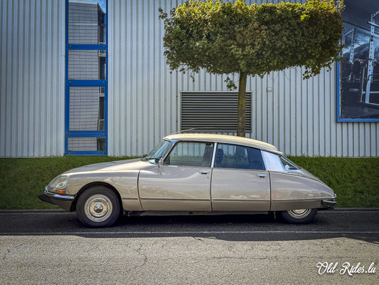 LOF Oldtimer Breakfast by Reinert