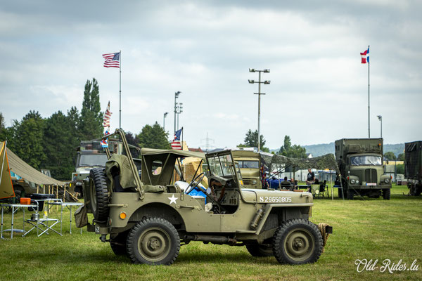 Int. Meeting CVM Steesel