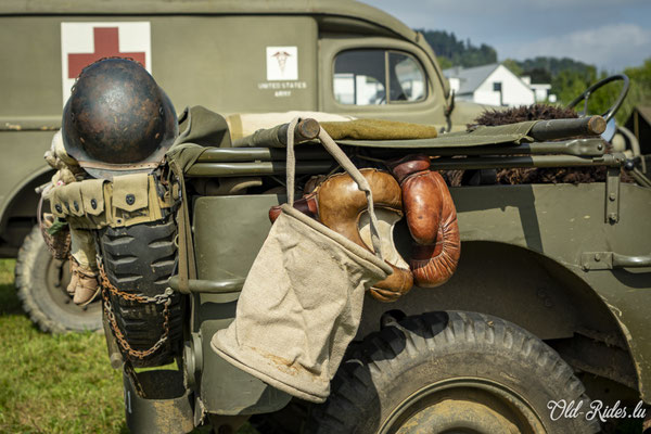 Int. Meeting CVM Steesel