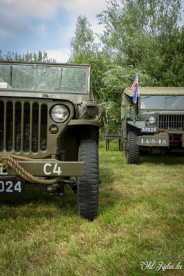 Int. Meeting CVM Steesel