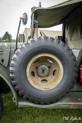 Int. Meeting CVM Steesel