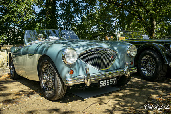 British Car Day