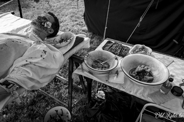 Int. Meeting CVM Steesel