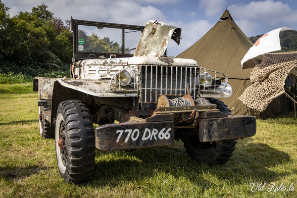 Int. Meeting CVM Steesel