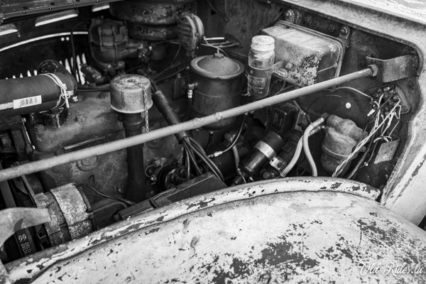 Int. Meeting CVM Steesel