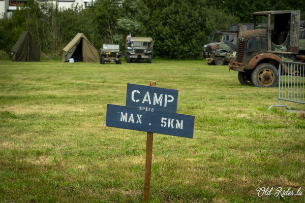 Int. Meeting CVM Steesel