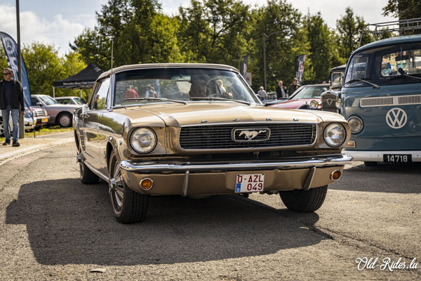 Vintage Cars & Bikes Steinfort