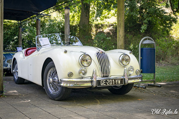 British Car Day