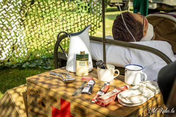 Int. Meeting CVM Steesel