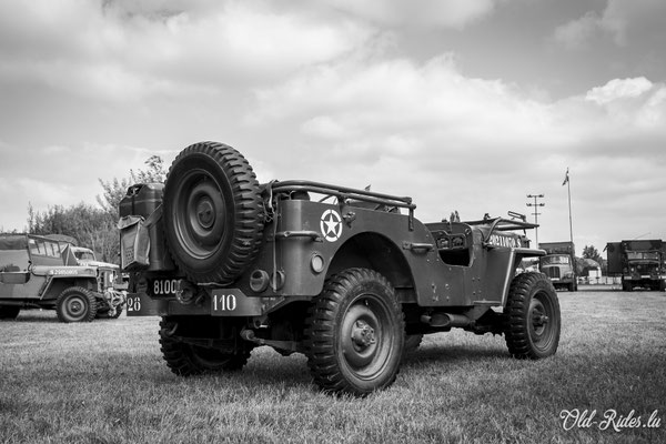 Int. Meeting CVM Steesel