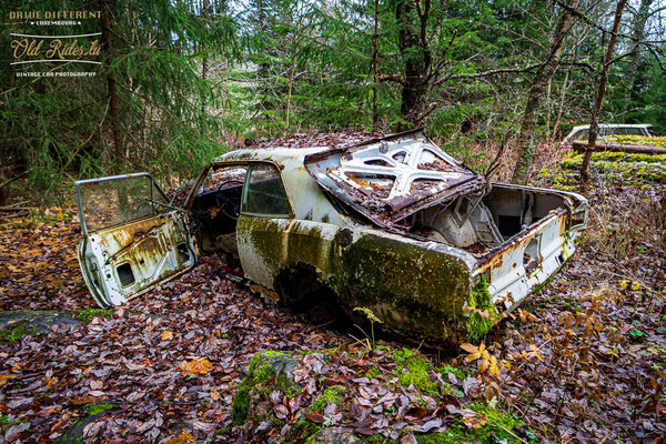 Auto Kierfecht Bilkykogarden